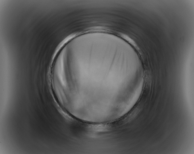 X0000083561474200703021705