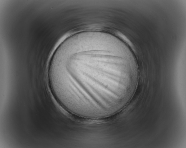 X0000083561475200703021705