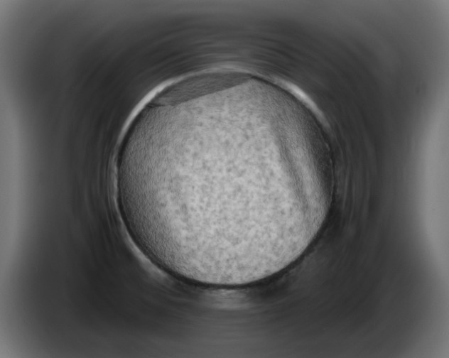 X0000083561476200703021705