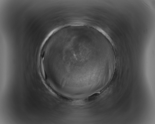 X0000083561477200703021705