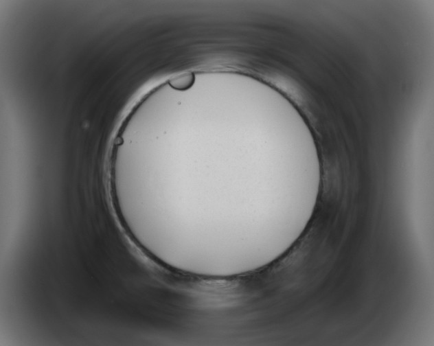 X0000083561478200703021705