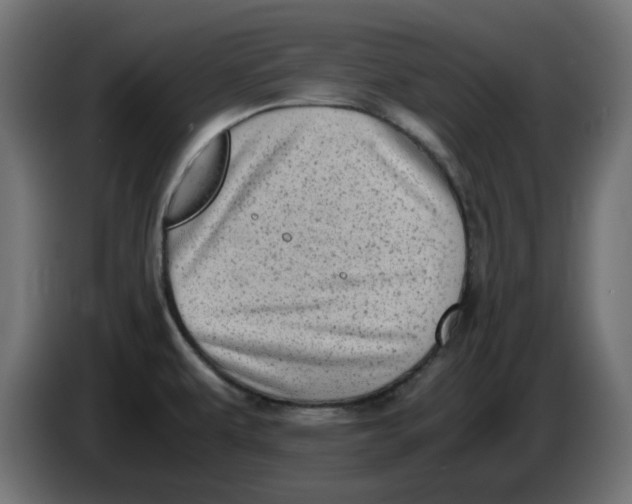 X0000083561479200703021705