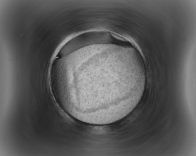 X0000083561480200703021705