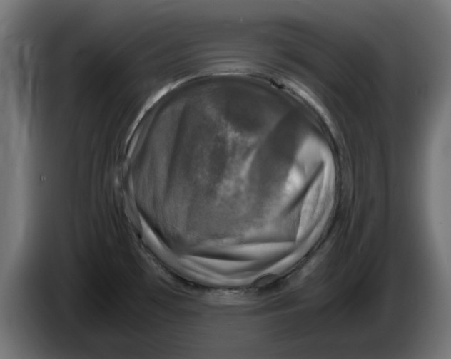 X0000083561481200703021705