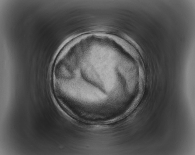 X0000083561483200703021705