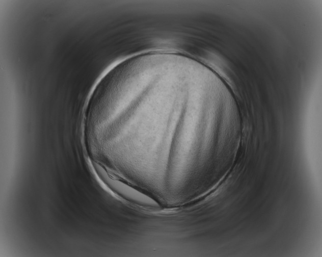 X0000083561484200703021705