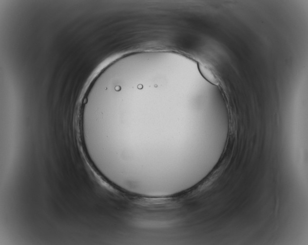 X0000083561486200703021705