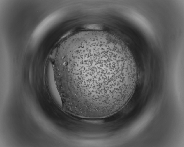 X0000083561487200703021705