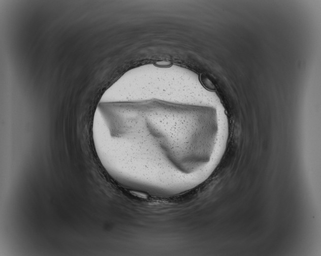 X0000083561489200703021704