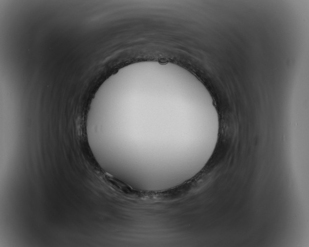 X0000083561490200703021704