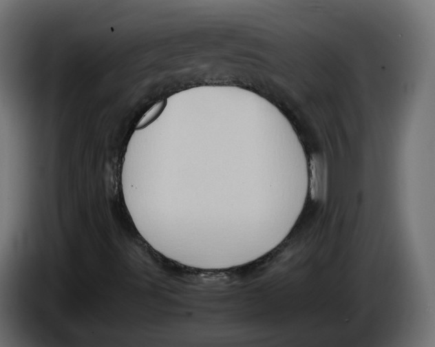 X0000083561491200703021704