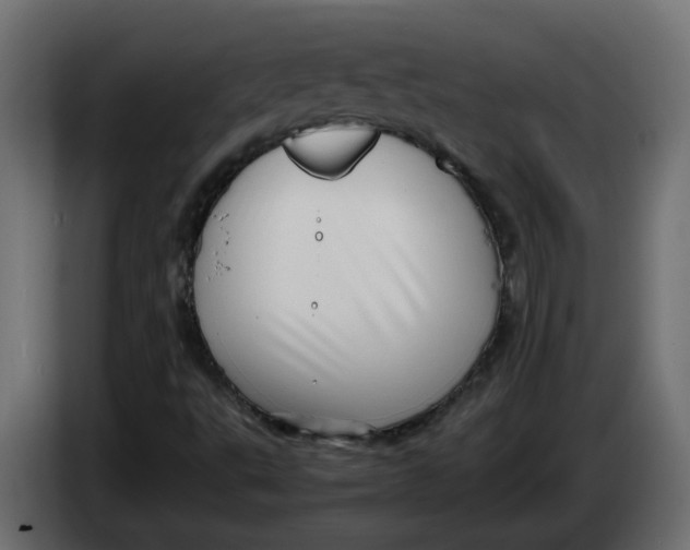 X0000083561495200703021704