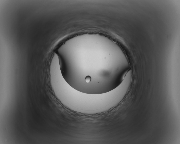 X0000083561496200703021704