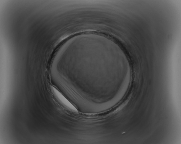 X0000083561497200703021704