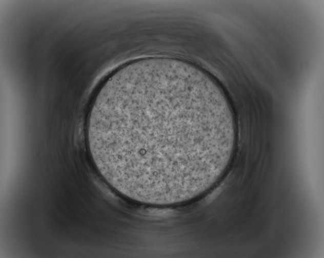 X0000083561498200703021704