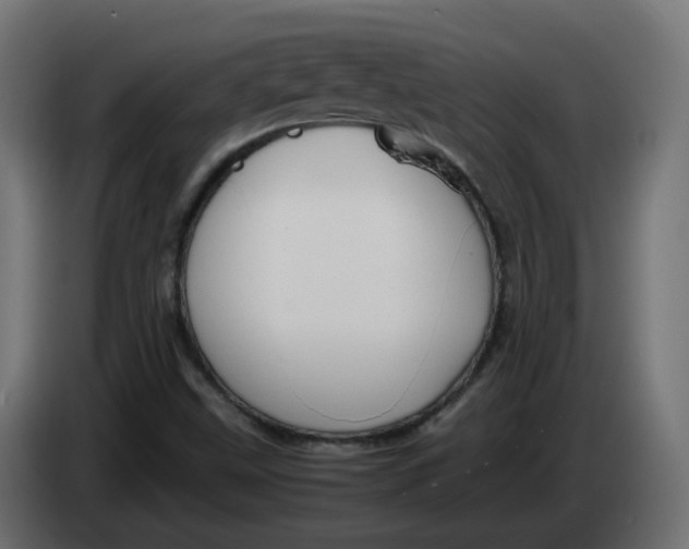 X0000083561499200703021704