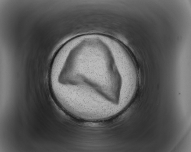 X0000083561500200703021704