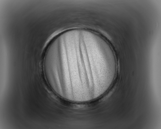 X0000083561501200703021704