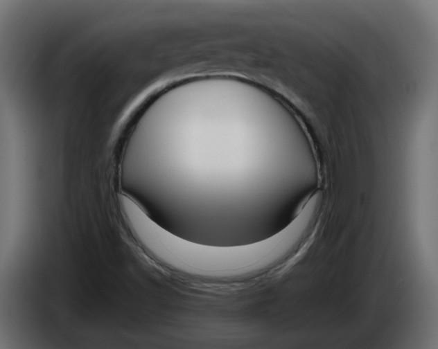 X0000083561502200703021704