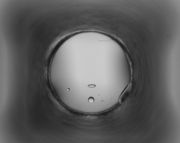 X0000083561503200703021704