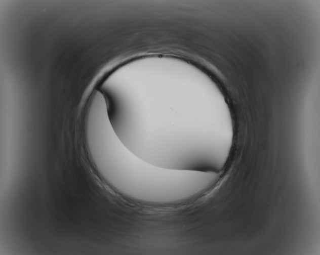 X0000083561506200703021704