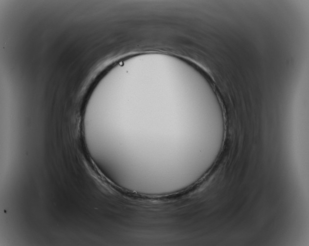 X0000083561507200703021704