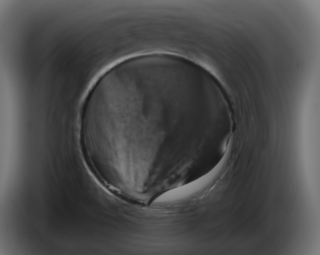 X0000083561508200703021704