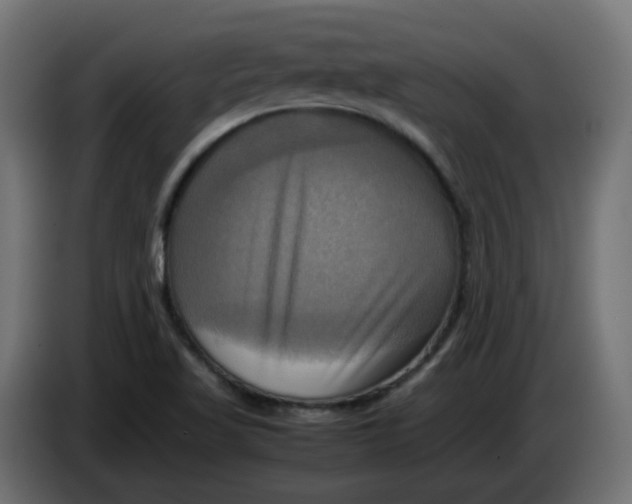 X0000083561509200703021704