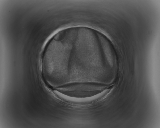 X0000083561510200703021704