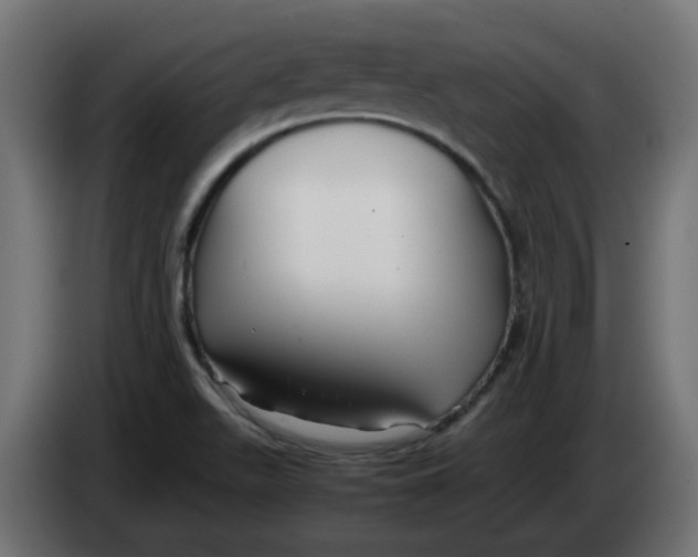 X0000083561511200703021704