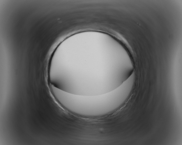 X0000083561512200703021704