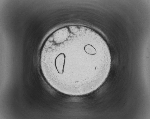 X0000083561514200703021704