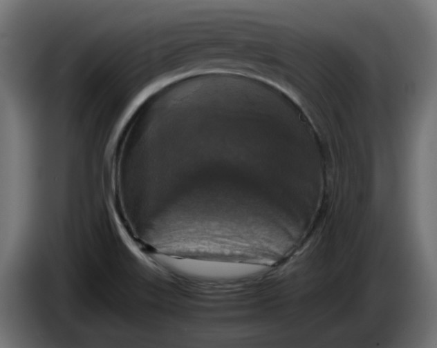 X0000083561515200703021704