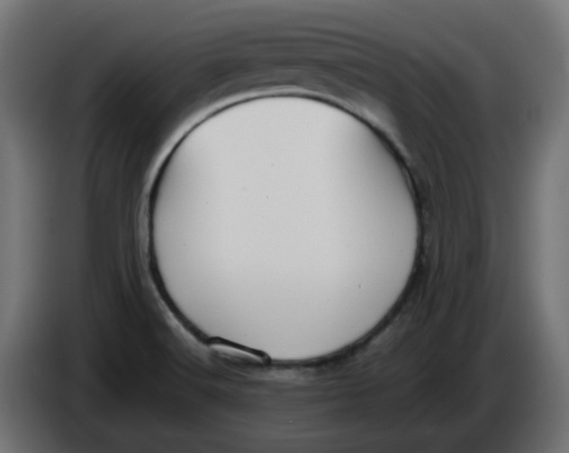 X0000083561516200703021704