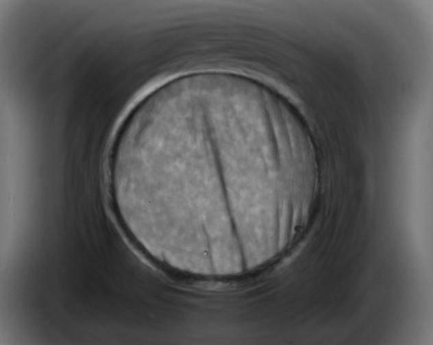 X0000083561517200703021704