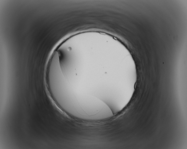 X0000083561518200703021704