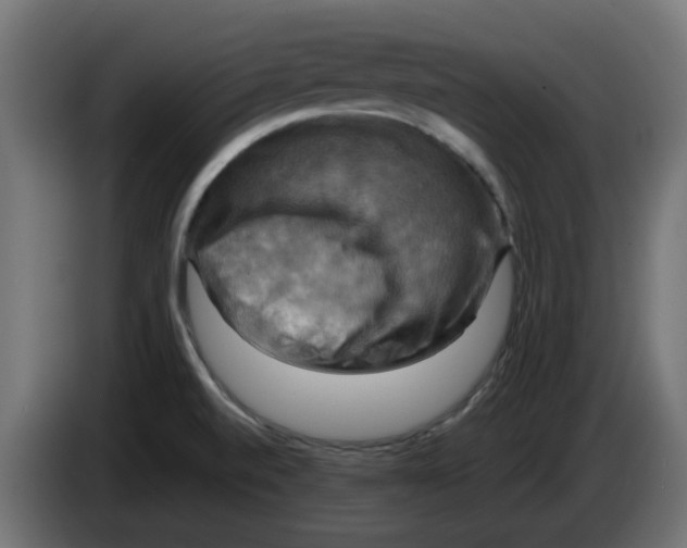 X0000083561520200703021704