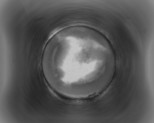 X0000083561521200703021704