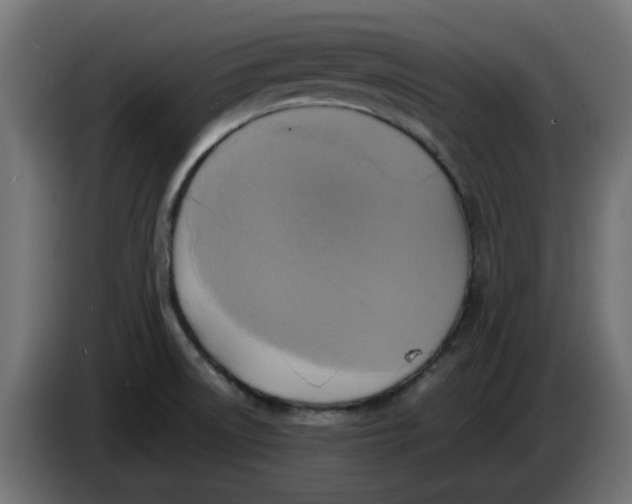 X0000083561522200703021704