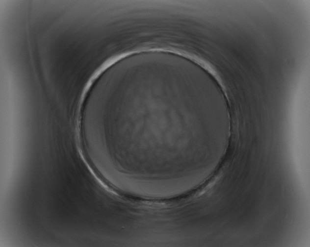 X0000083561525200703021704