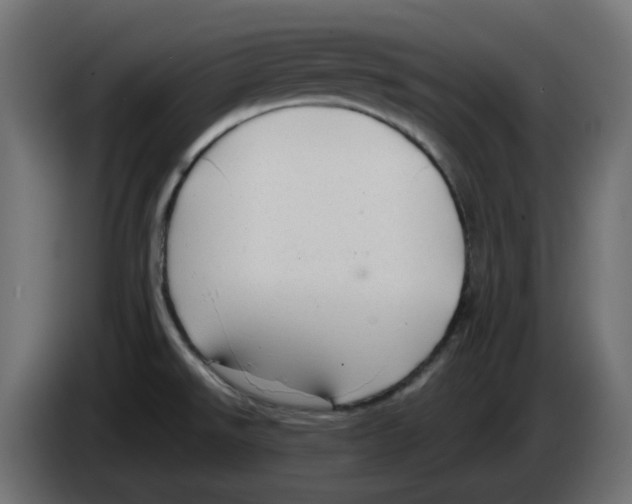 X0000083561526200703021704