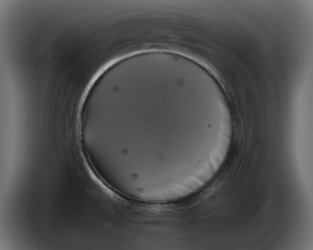 X0000083561527200703021704