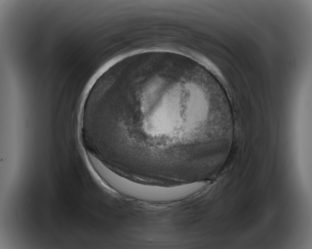 X0000083561528200703021704