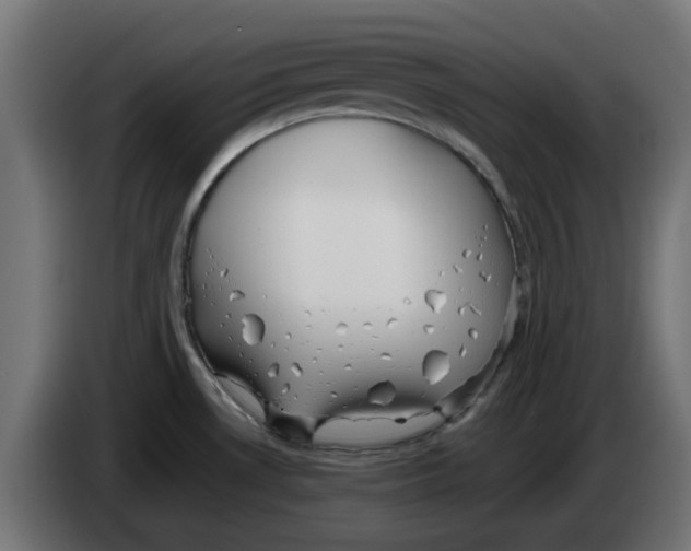 X0000083561530200703021704