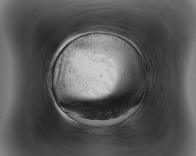 X0000083561531200703021704