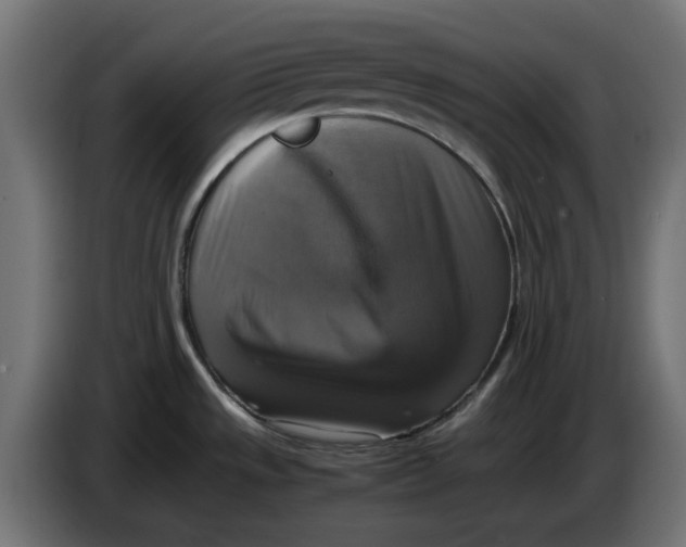 X0000083561533200703021704