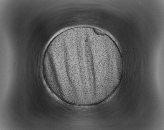 X0000083561534200703021704