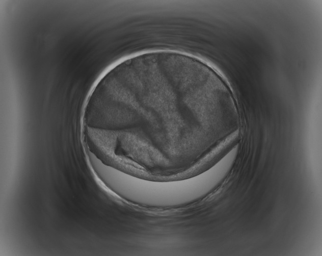 X0000083561535200703021704