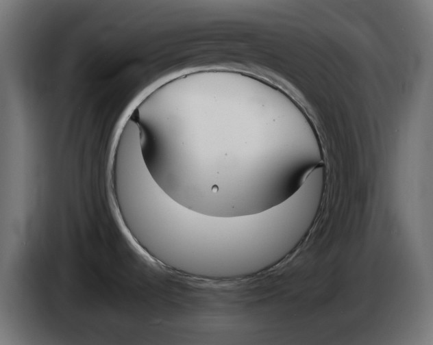 X0000083561536200703021705