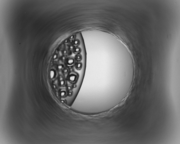 X0000083560001200703091626